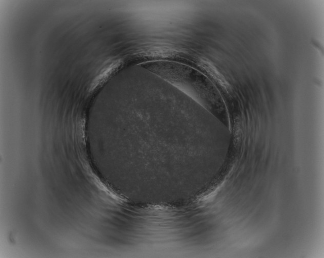 X0000097790585200803071414
