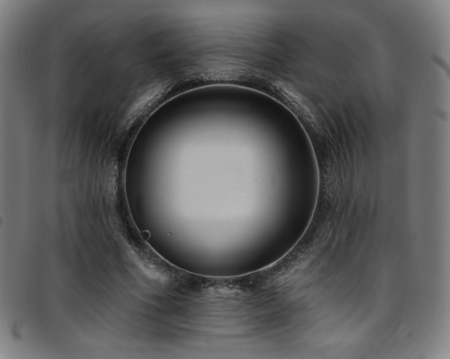 X0000097790586200803071414