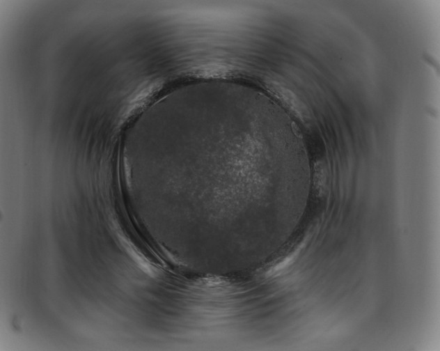 X0000097790589200803071414
