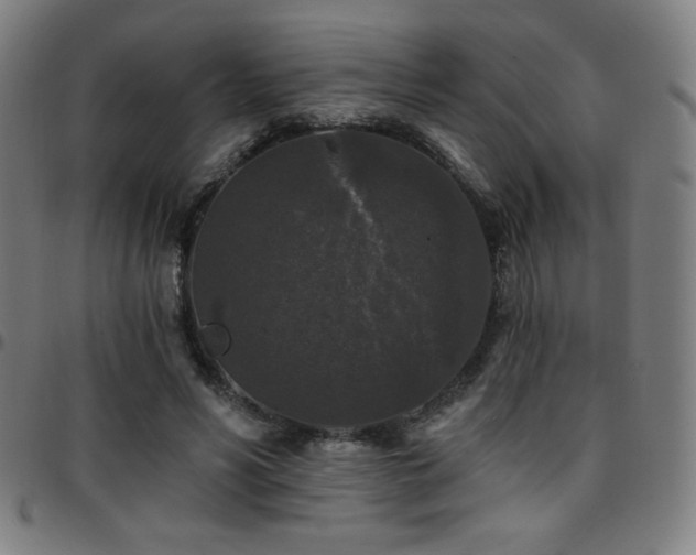 X0000097790590200803071414