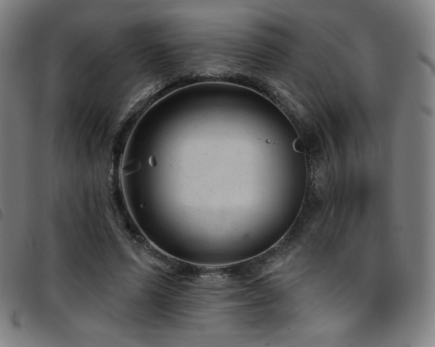 X0000097790591200803071414