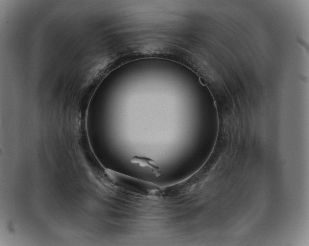 X0000097790592200803071414