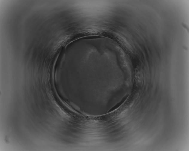 X0000097790593200803071414