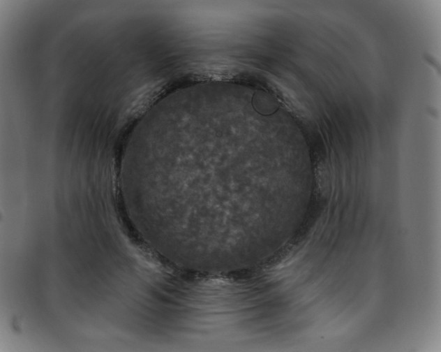 X0000097790594200803071414