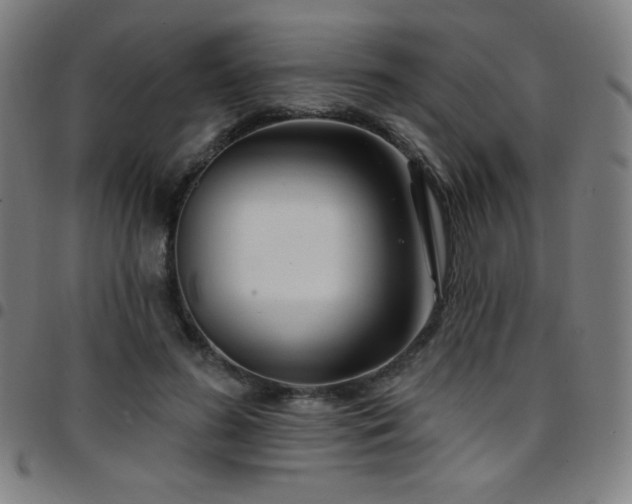 X0000097790596200803071414