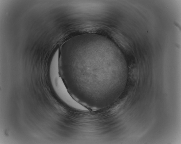 X0000097790597200803071414