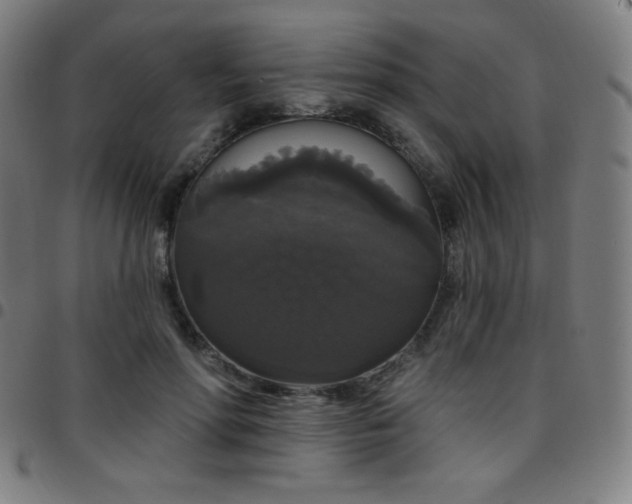 X0000097790598200803071414