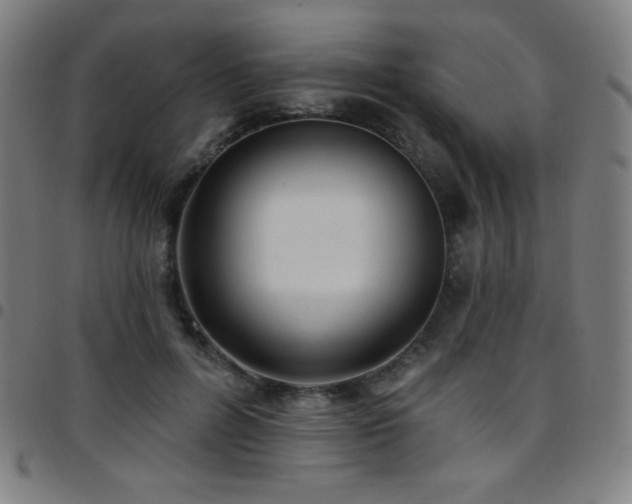X0000097790600200803071414