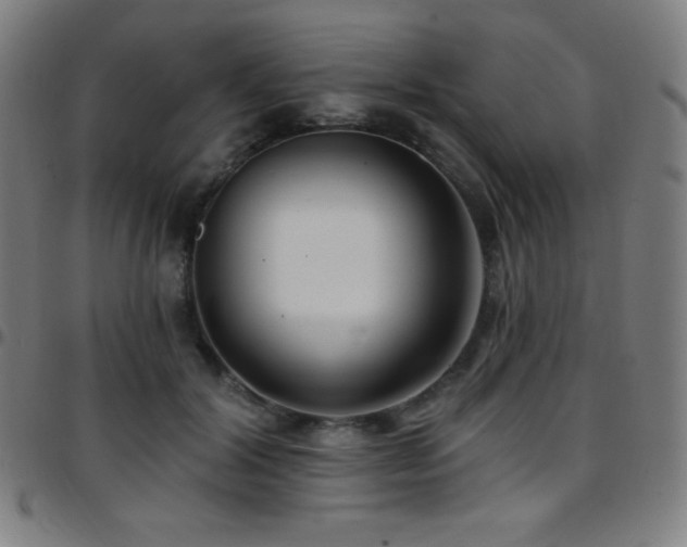 X0000097790604200803071414