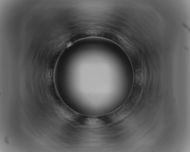 X0000097790605200803071414