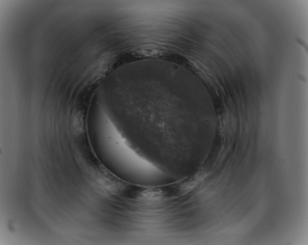 X0000097790606200803071414