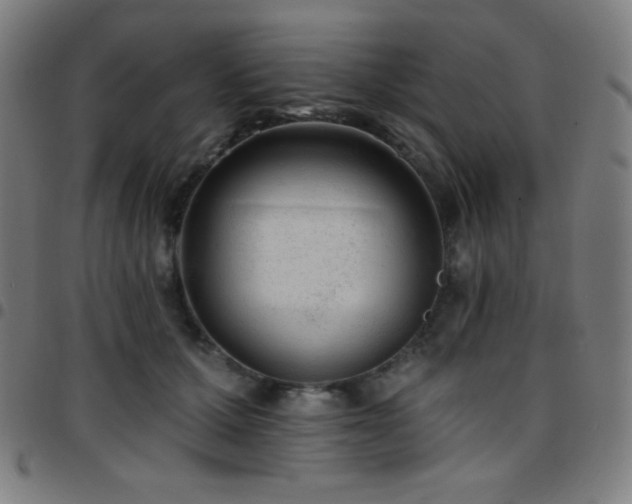 X0000097790607200803071414