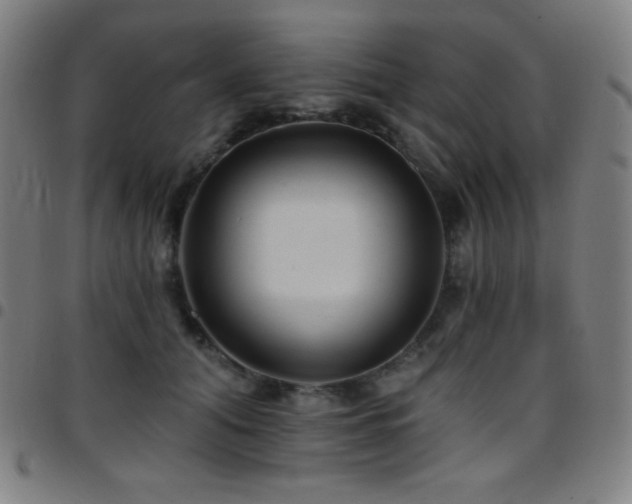 X0000097790608200803071414