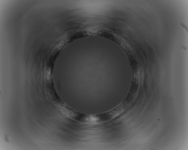 X0000097790610200803071414