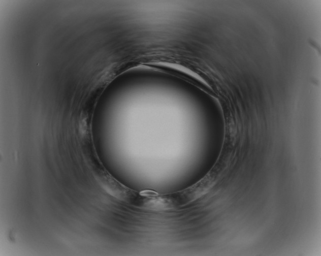 X0000097790611200803071414