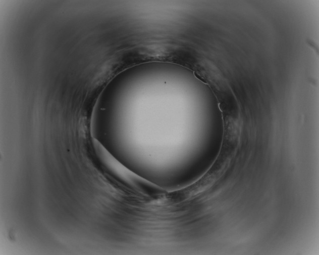 X0000097790612200803071414