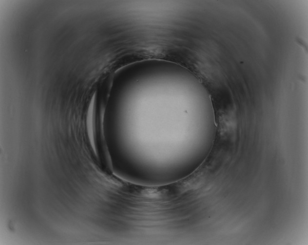 X0000097790613200803071414