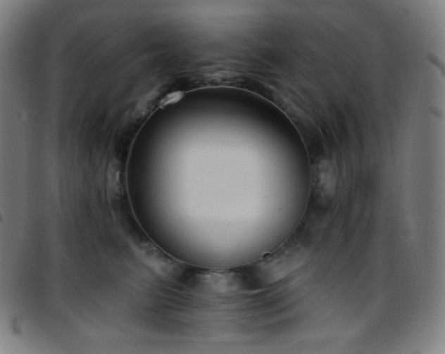 X0000097790615200803071414