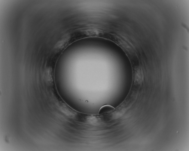 X0000097790616200803071414