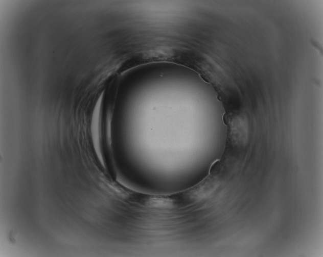 X0000097790617200803071414