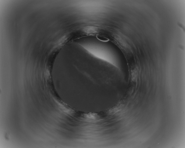 X0000097790618200803071414