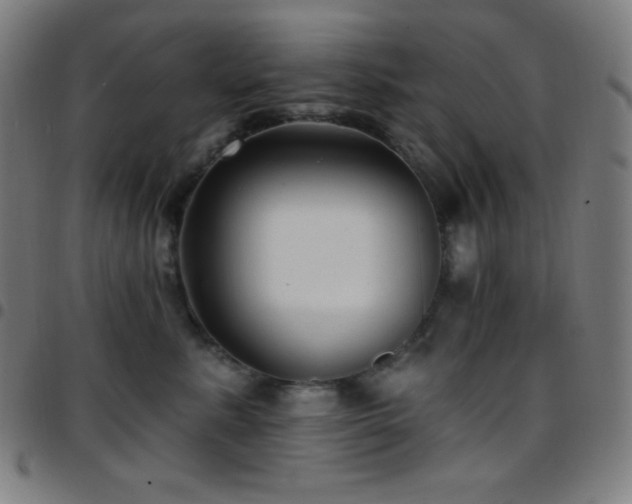 X0000097790619200803071414