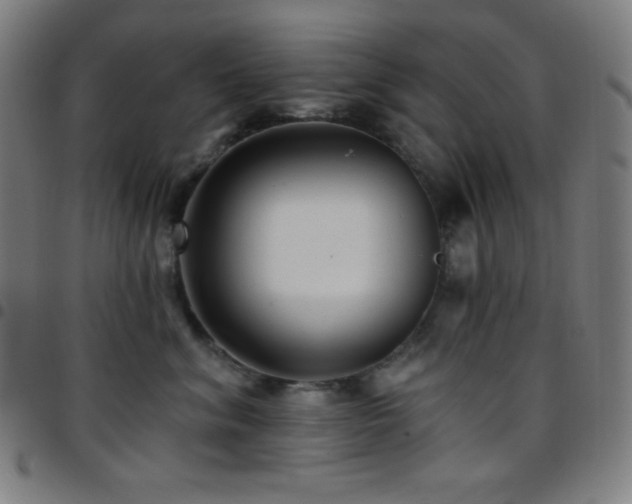 X0000097790620200803071414