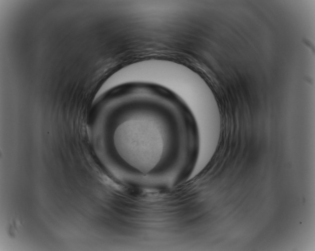 X0000097790621200803071414