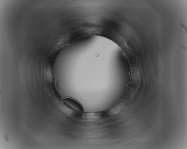 X0000097790622200803071413