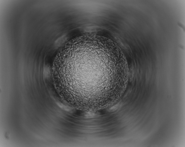 X0000097790623200803071413