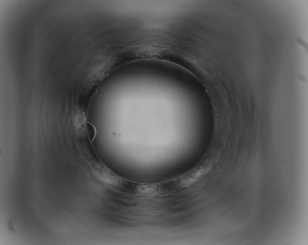 X0000097790624200803071413