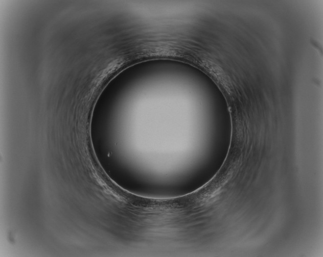 X0000097790625200803071413