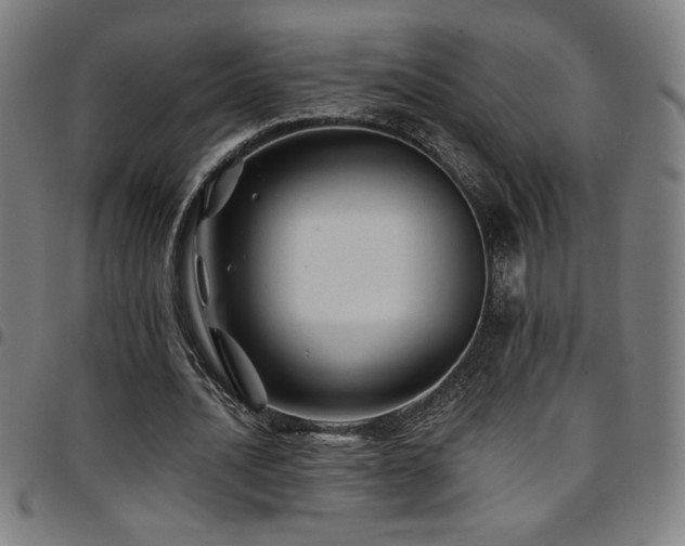 X0000097790628200803071413
