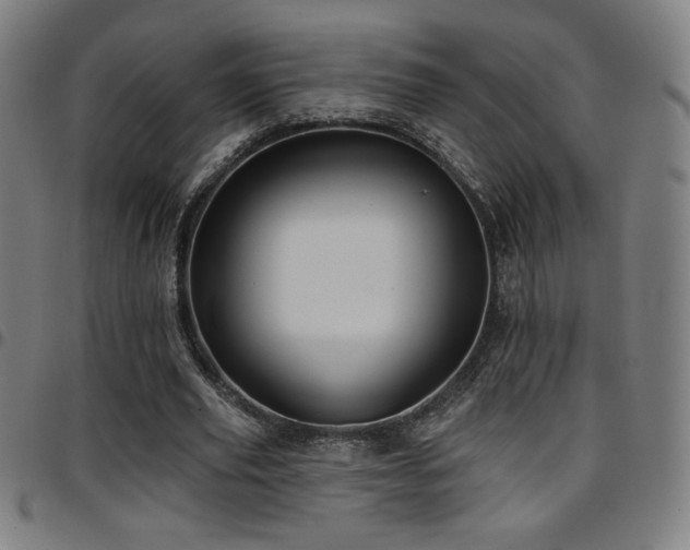 X0000097790629200803071413