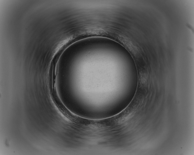 X0000097790630200803071413