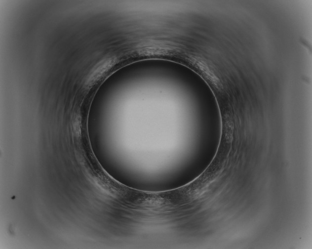 X0000097790631200803071413