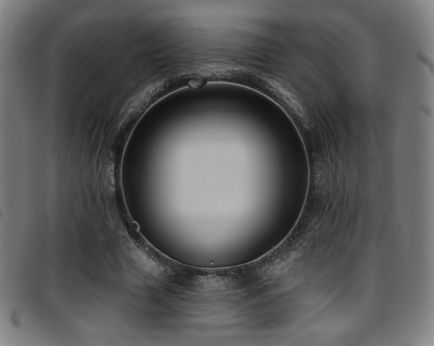 X0000097790633200803071413