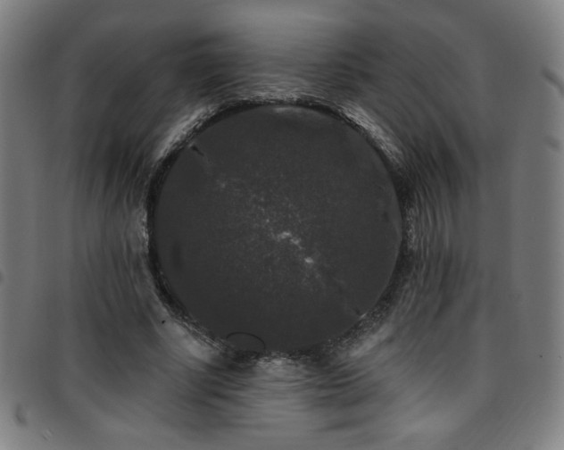X0000097790634200803071413