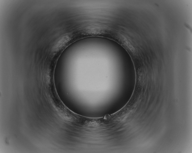 X0000097790635200803071413