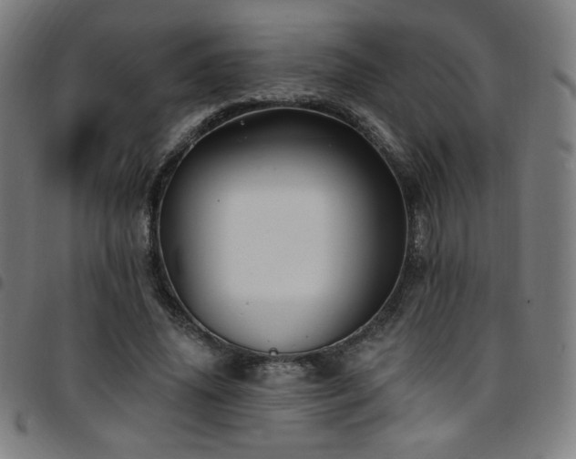X0000097790636200803071413