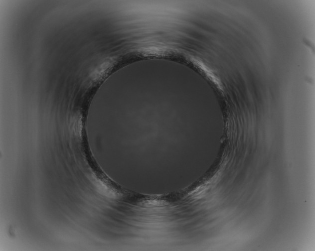 X0000097790637200803071413
