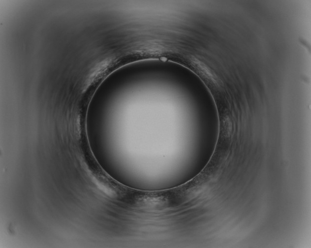 X0000097790638200803071413