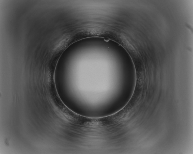 X0000097790639200803071413