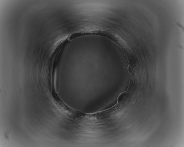 X0000097790640200803071413