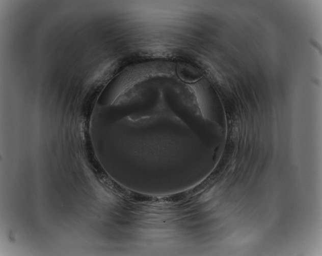 X0000097790643200803071413