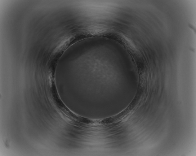 X0000097790644200803071413
