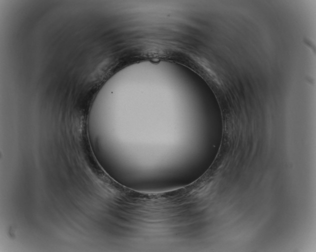 X0000097790645200803071413