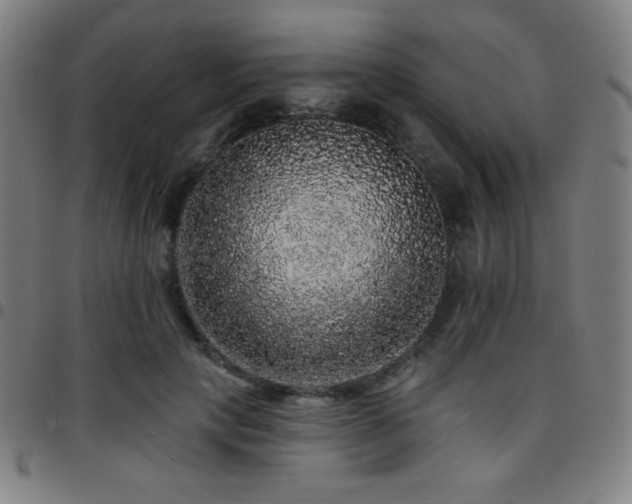 X0000097790649200803071413