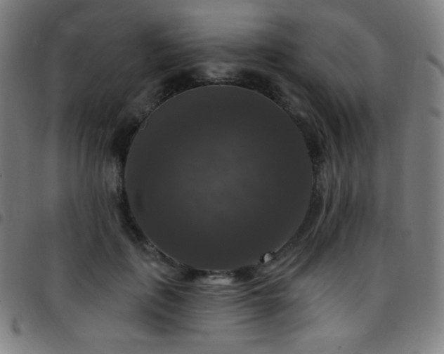 X0000097790651200803071413
