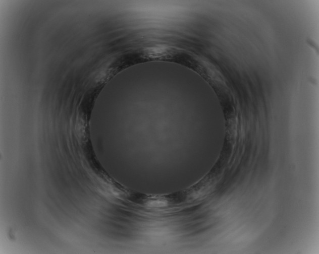 X0000097790653200803071413